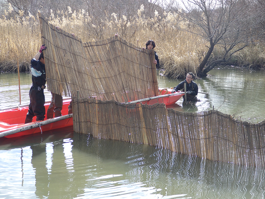サムネイル画像